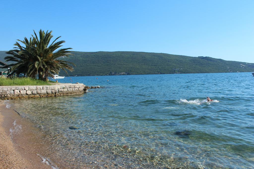 Apartment Vinograd Herceg Novi Exterior photo